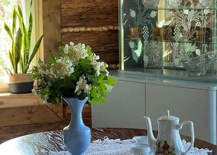 Prázdninový dům 120 Letnia Chatabarutka W Gorach Z Jacuzzi I Sauna *